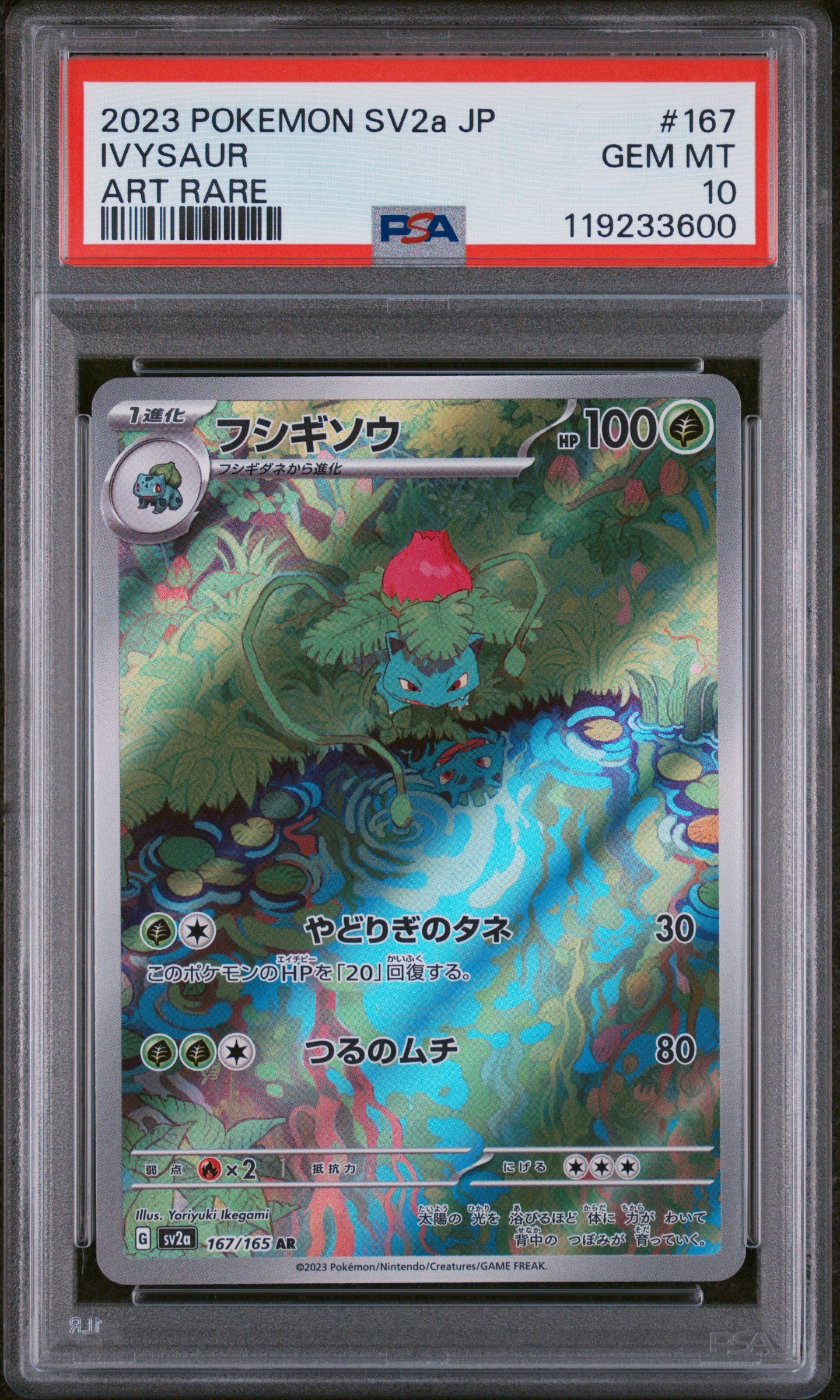 **Sequential Slabs!** PSA 10 Bulbasaur 166/165 AR & Ivysaur 167/165 AR *Japanese*