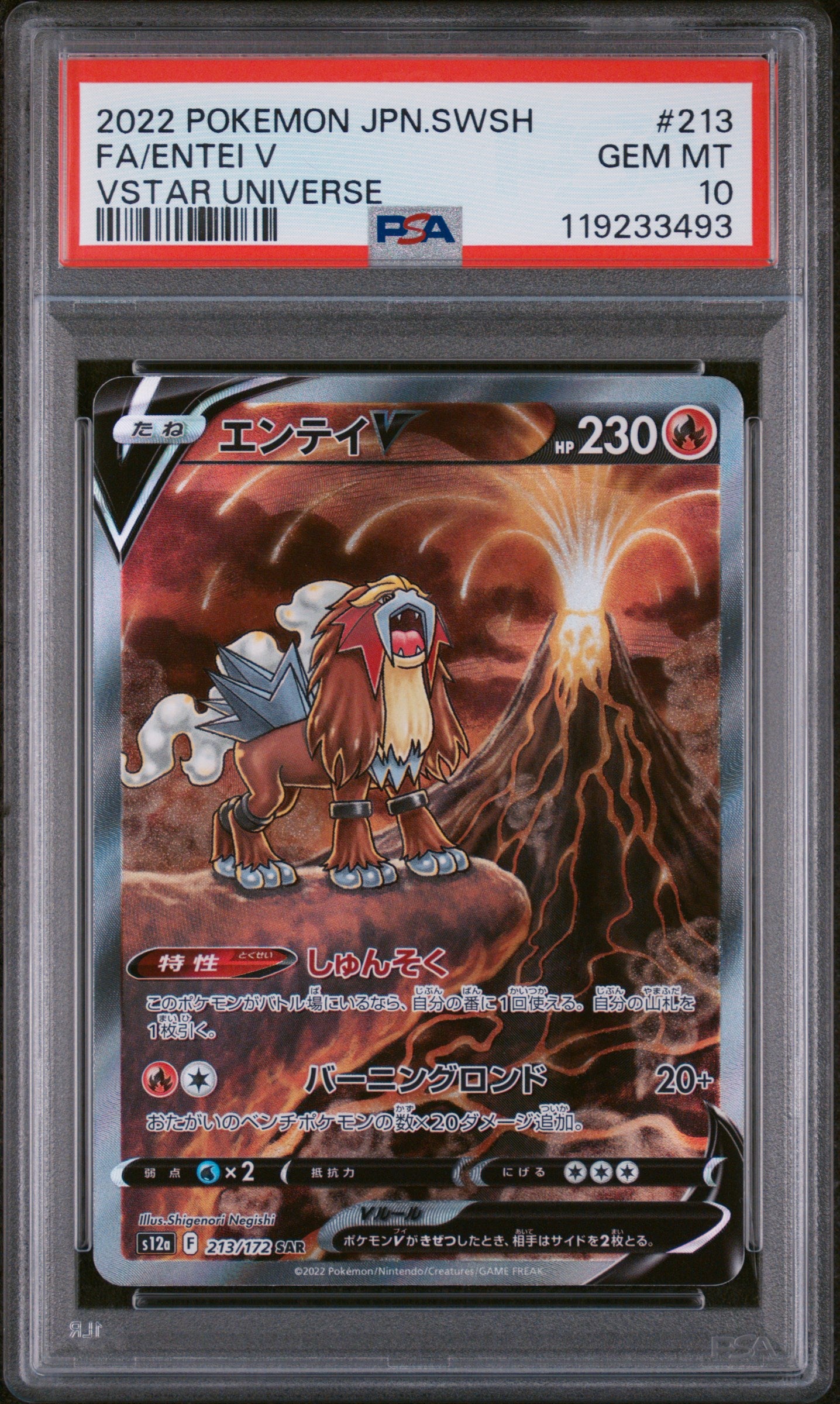**Sequential Slabs!** PSA 10 Entei V, Suicune V & Raikou V VSTAR Universe SARs *Japanese*