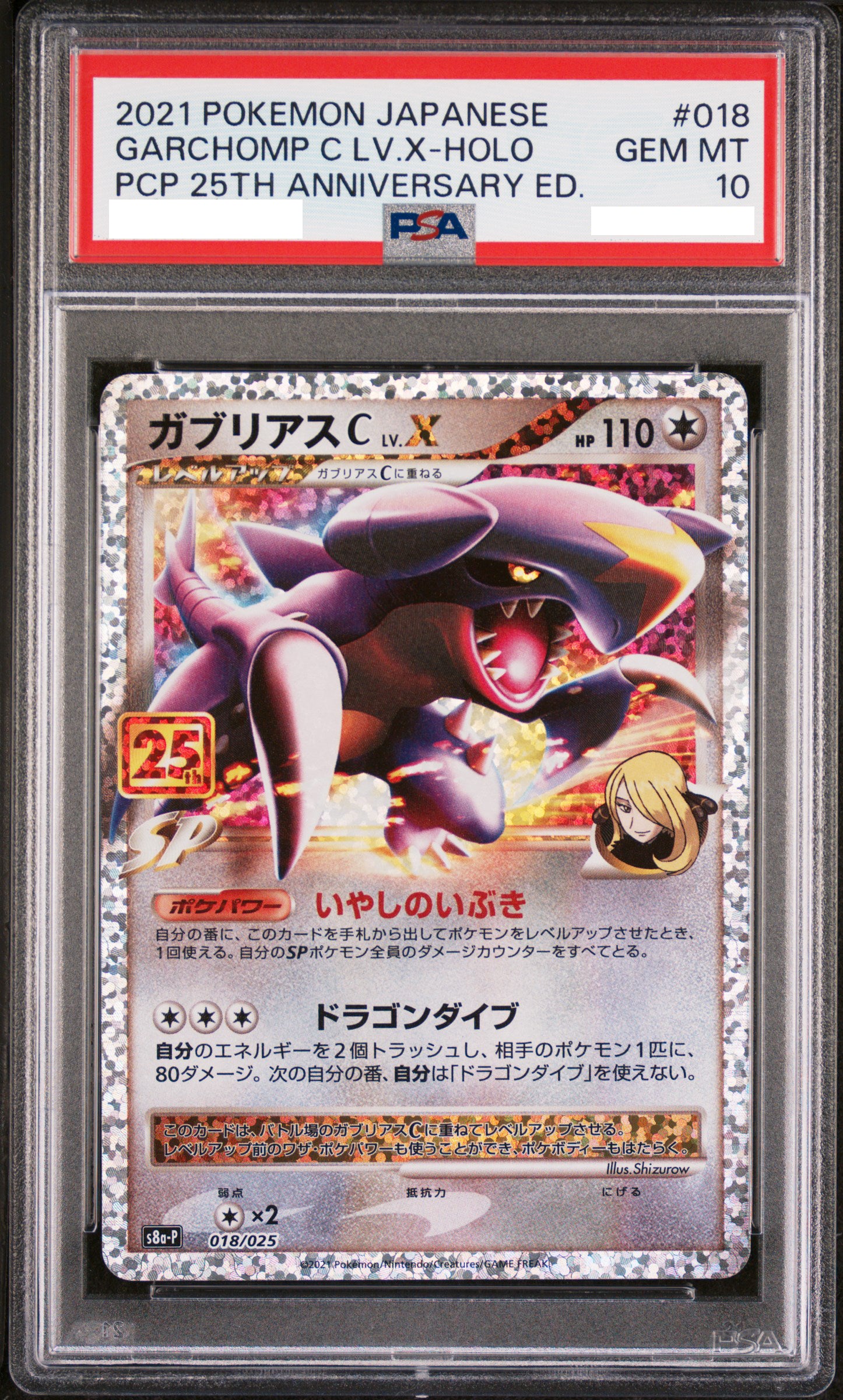 Pokemon Holo LV collection cards hotsell