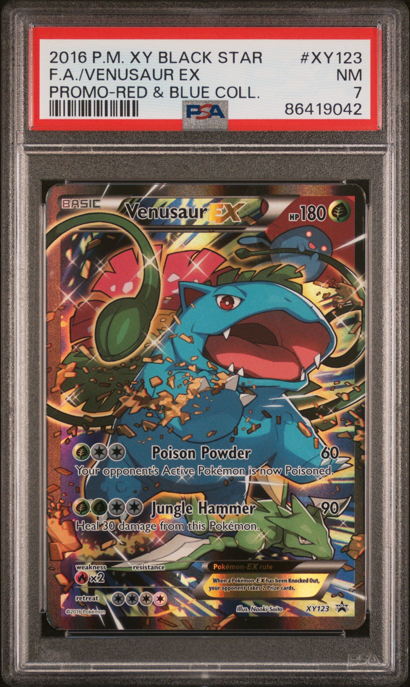 **Sequential Slabs!** PSA 8, 7, & 7 Charizard EX, Blastoise EX & Venusaur EX - Red & Blue Collection XY Promos Alternate Art Holo XY121, XY122, XY123 (Copy)