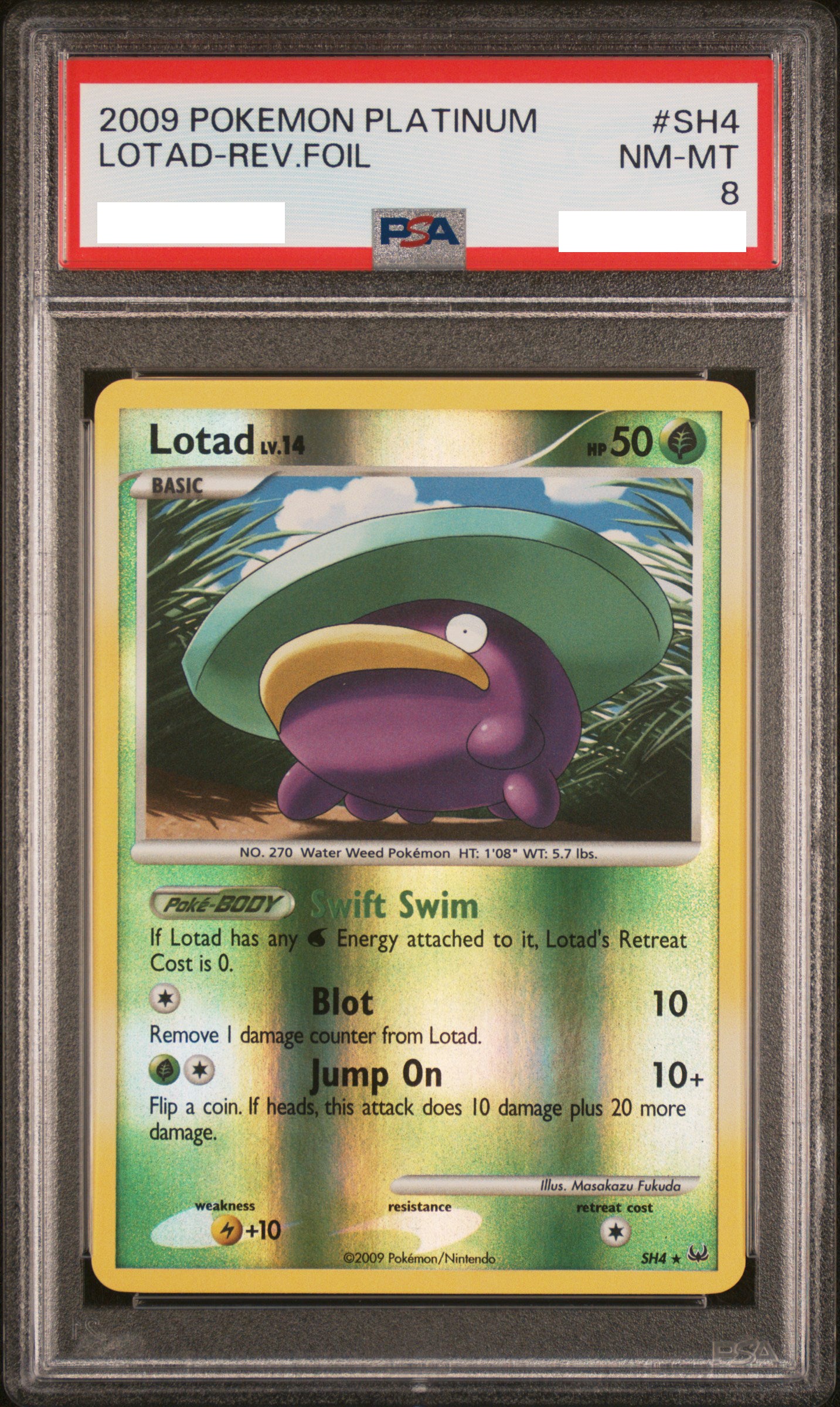 PSA 8 NM-MT Lotad - Platinum Reverse Holo Secret SH4