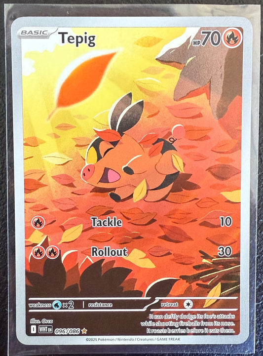 Tepig - White Flare - 096/086 - Illustration Rare