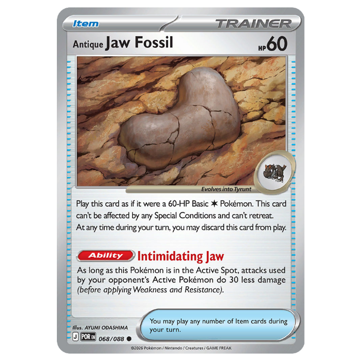 Antique Jaw Fossil - Perfect Order - 068/088 - Common