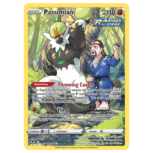 Passimian - Silver Tempest - TG08/TG30 - Holo Ultra Rare Trainer Gallery