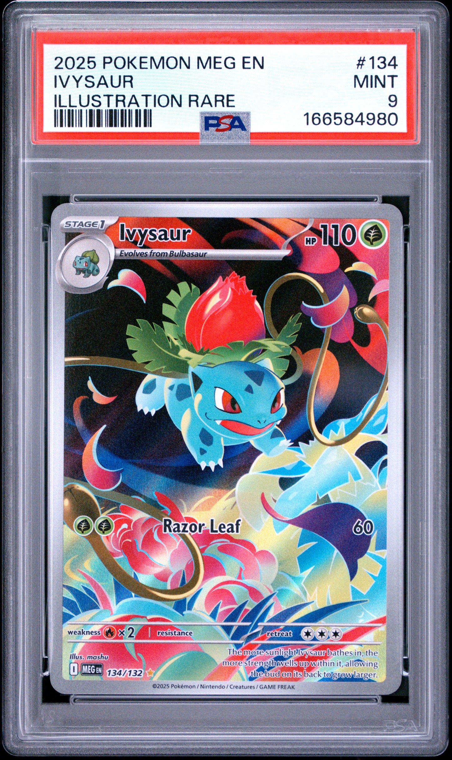 PSA 9 MINT Ivysaur - Mega Evolution Illustration Rare 134/132