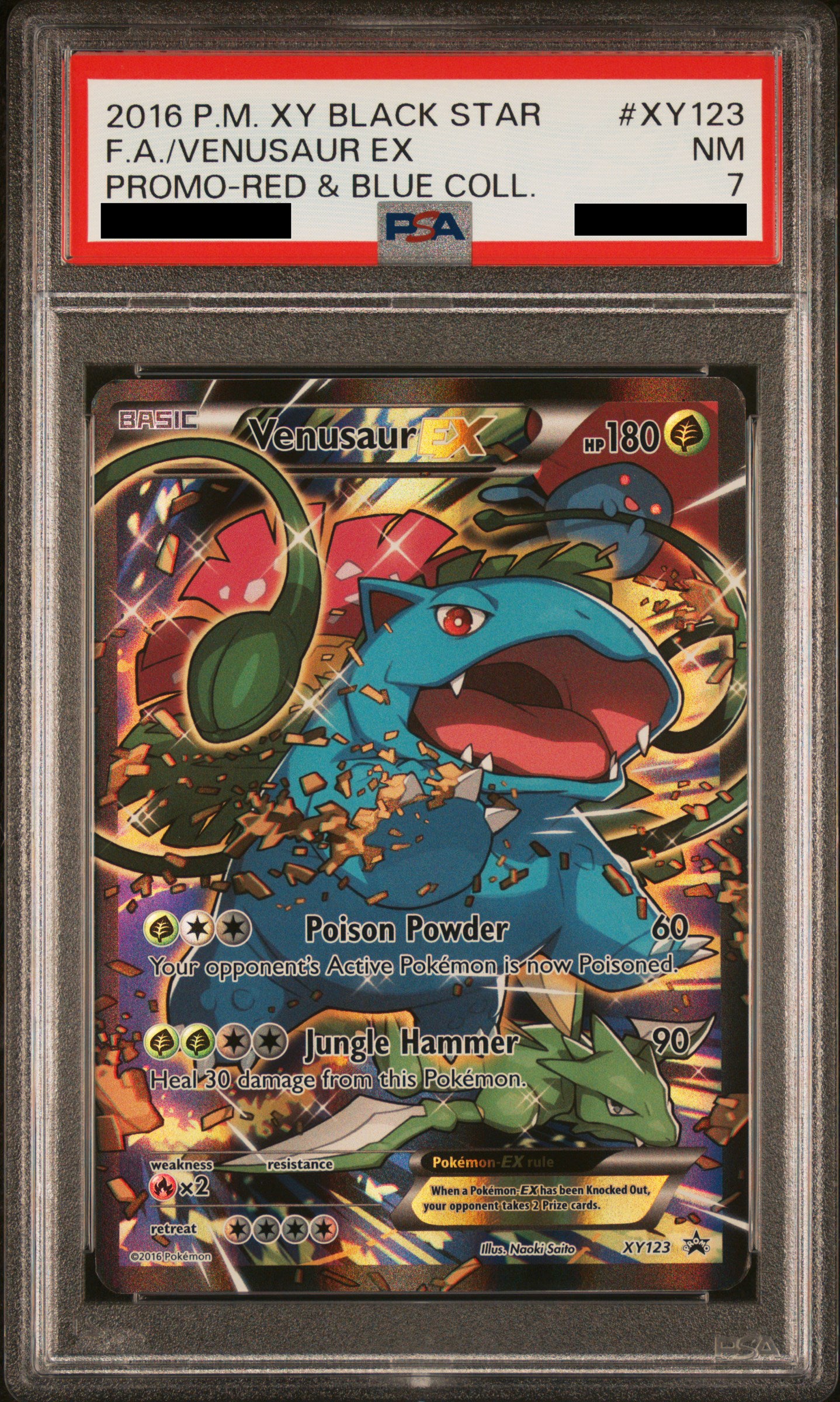 PSA 7 NM Venusaur EX - XY Promo Full Art XY123