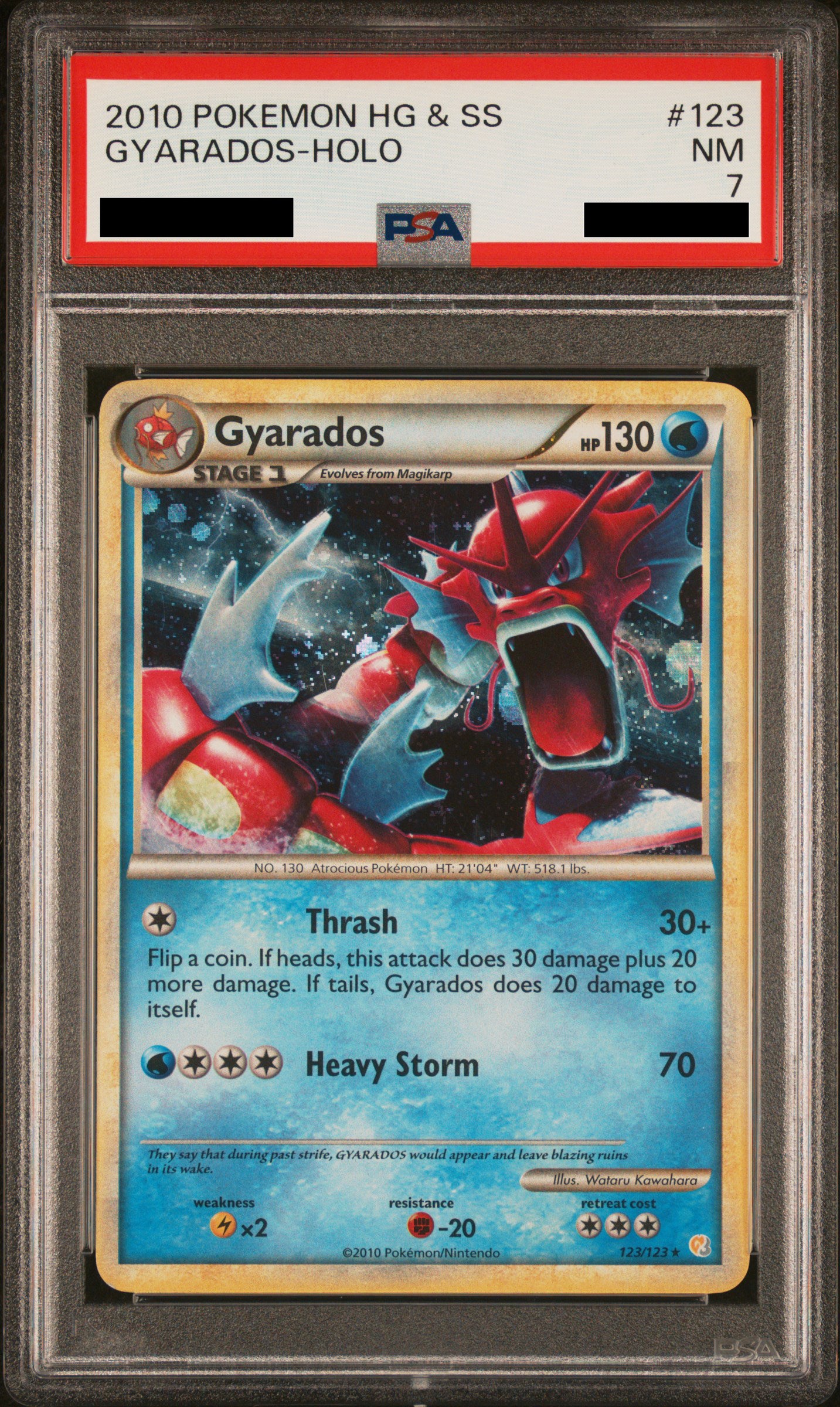 PSA 7 NM Gyarados (Shiny) - HeartGold & SoulSilver Holo 123/123