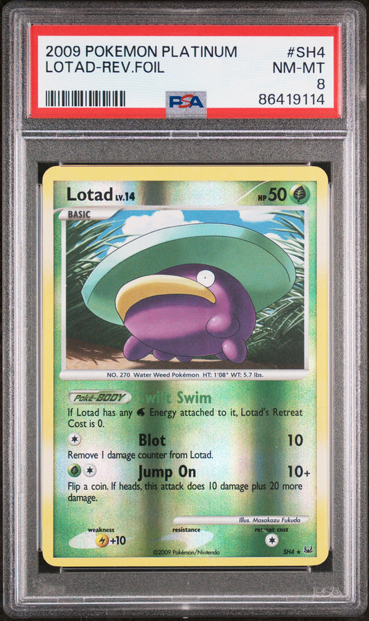 PSA 8 NM-MT Lotad - Platinum Reverse Holo Secret SH4