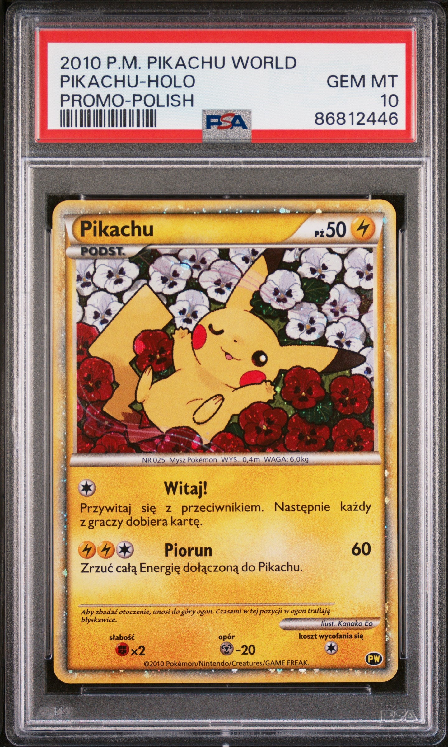 PSA 10 GEM MT Pikachu - Pikachu World Collection 2010 Holo Promo *Polish*