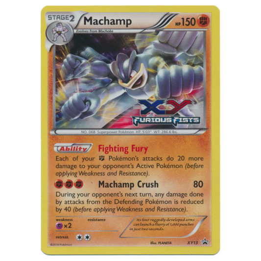 XY13 Machamp - Holo Promo (LP+)
